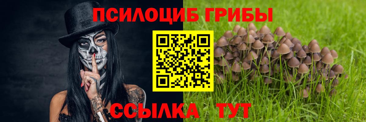 Галлюциногенные грибы GOLDEN TEACHER  Вход с VPN  Кизляр 